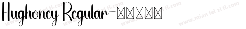 Hughoney Regular字体转换
